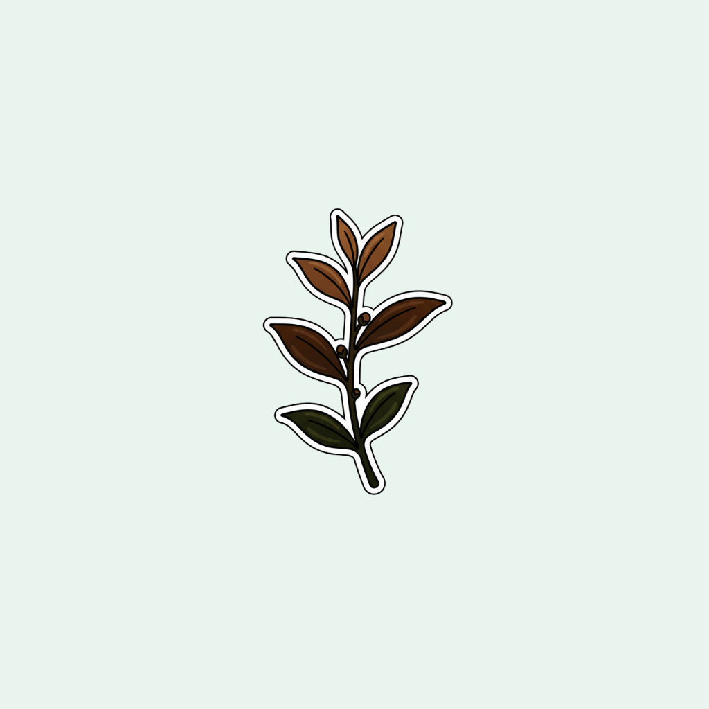 Simple illustration of a leaf on a light gray background