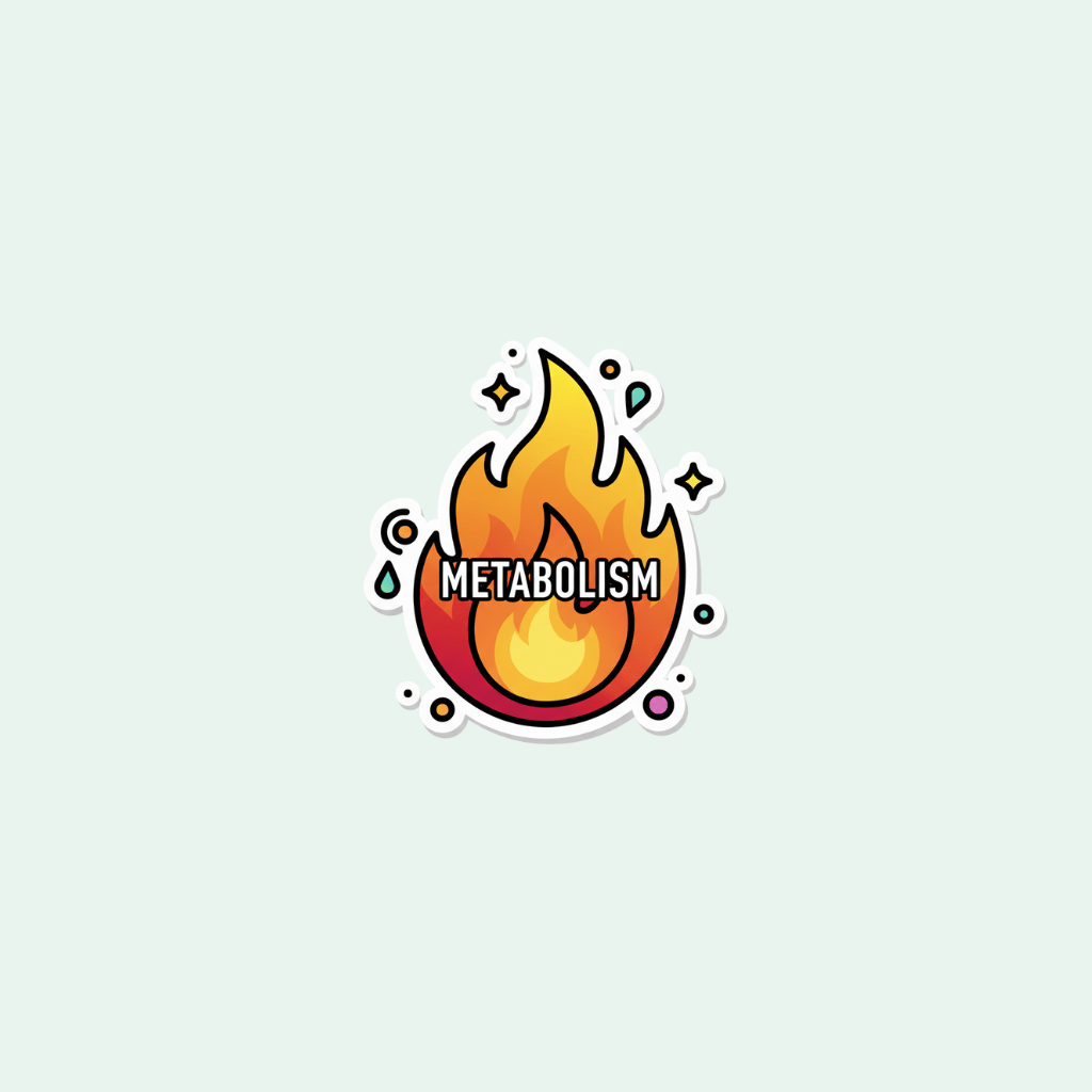Sticker with a flame design and 'METABOLISM' text on a light gray background