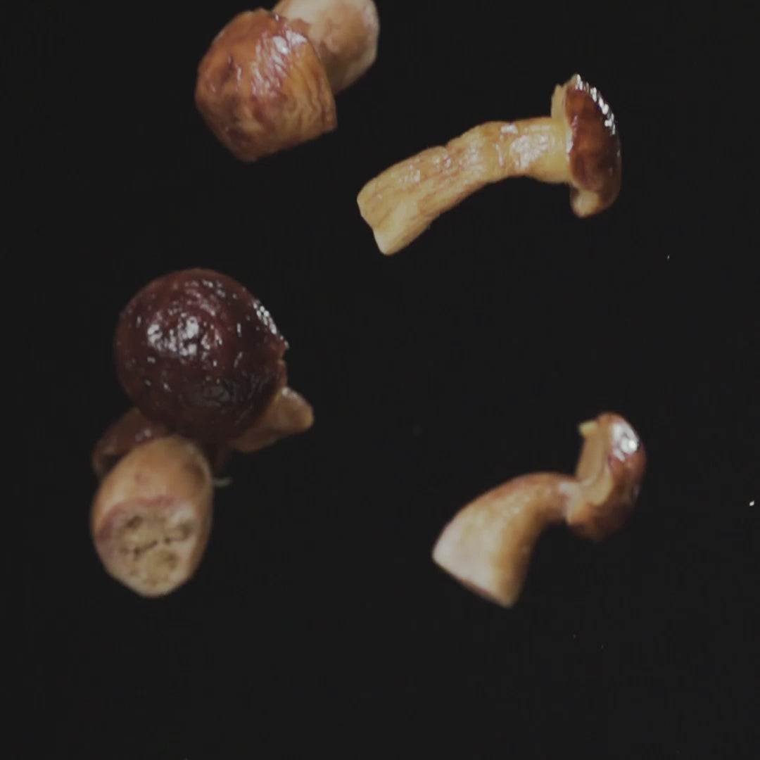 Formula 1 Savoury 550g